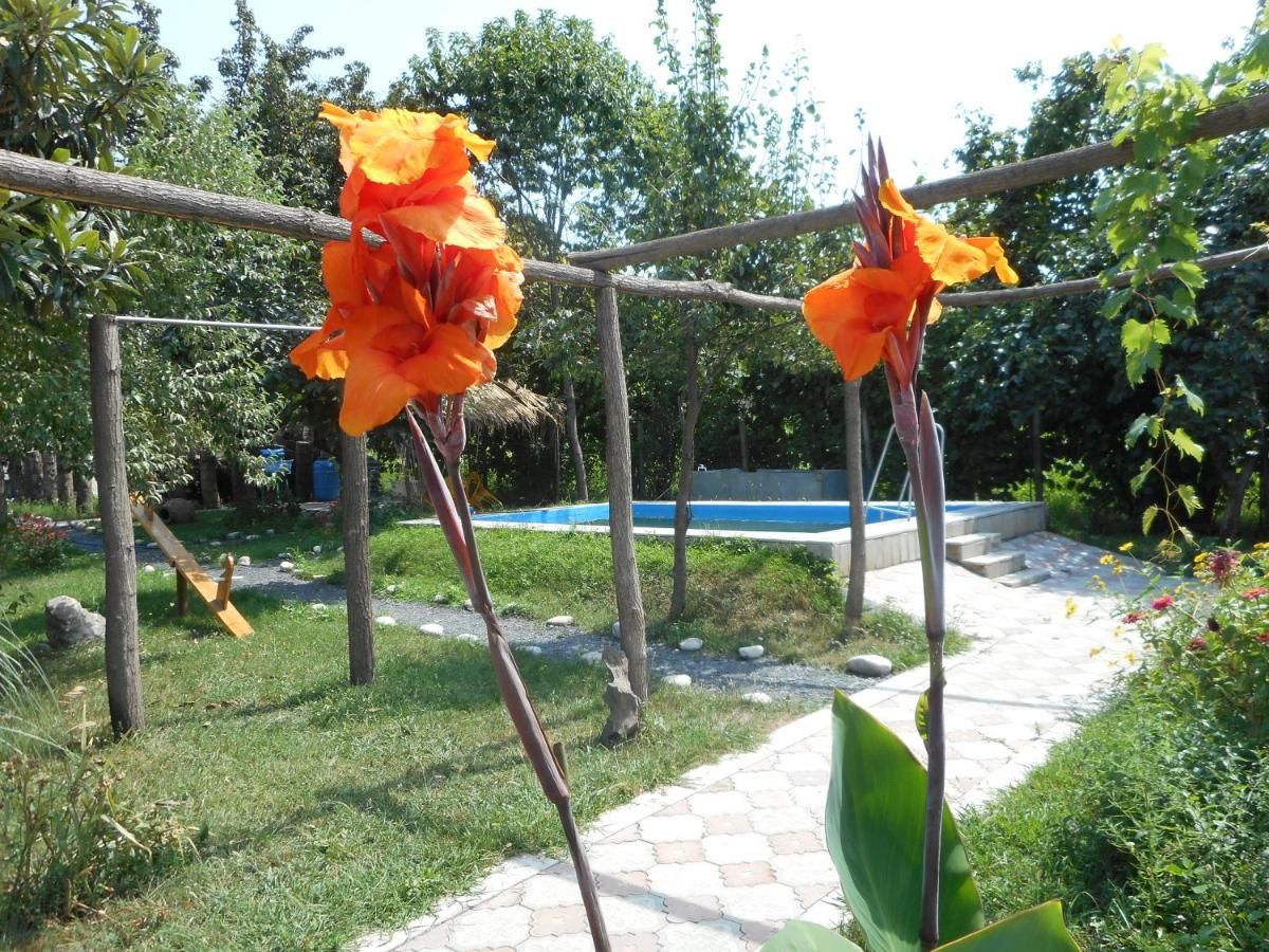 Гостевой дом Nona Guest House Шилда-34